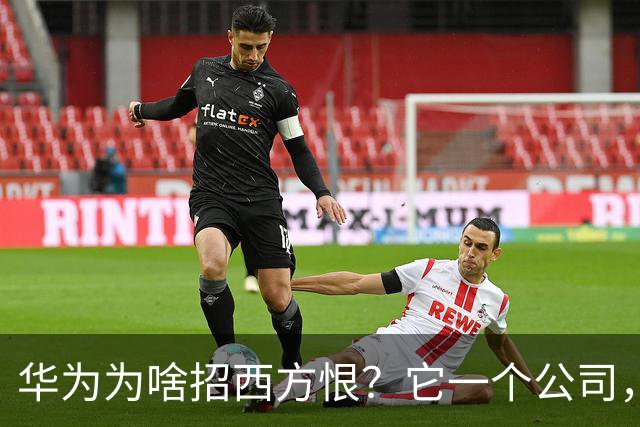 华为为啥招西方恨？它一个公司，挖了西方科技霸权的半座“祖坟”