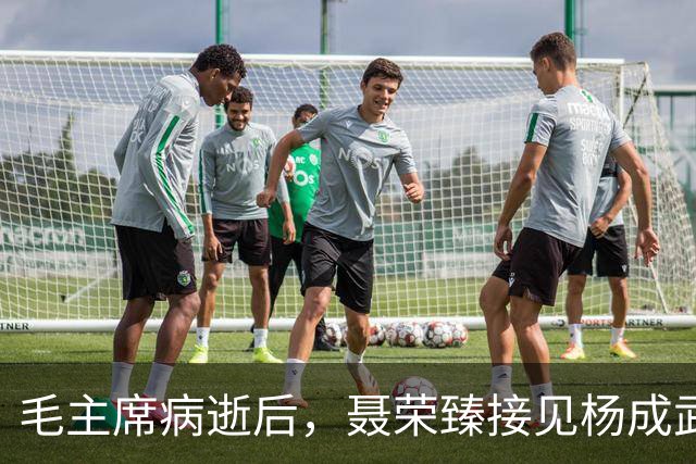 毛主席病逝后，聂荣臻接见杨成武：转告叶帅，一定要让他防止意外