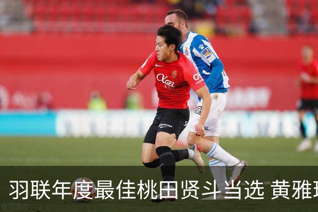 羽联年度最佳桃田贤斗当选 黄雅琼蝉联女子最佳
