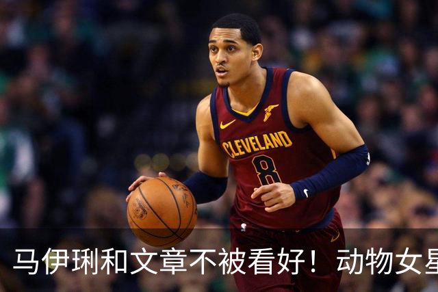 马伊琍和文章不被看好！动物女星的单身声明！